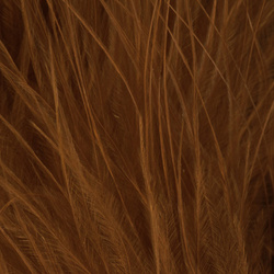 FFGene XXL-maraboufjädrar (Blood Quill) (+15 cm)