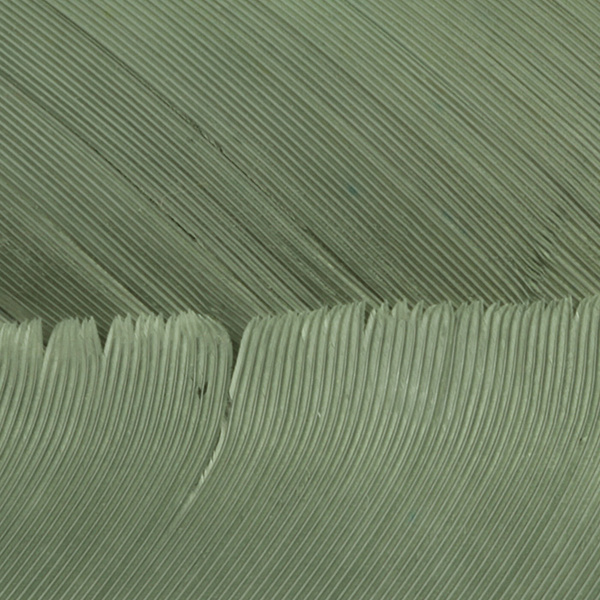 Hareline kalkonbiots