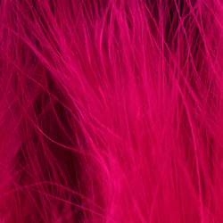 FFGene Maraboufjädrar (Blood Quill) (10-12 cm)