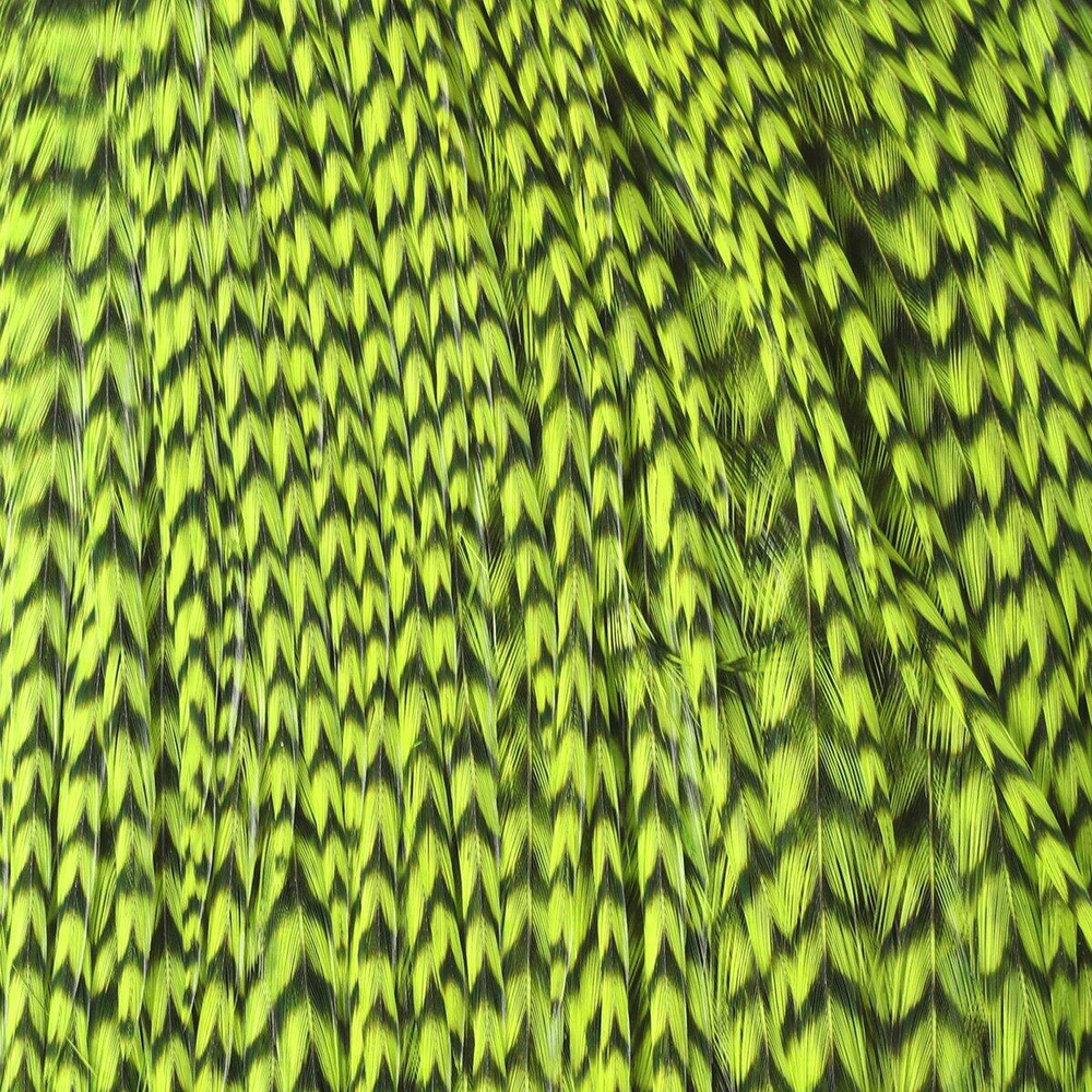 Grizzly Chartreuse