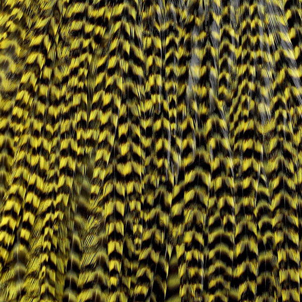 Ewing Grizzly Whole Saddles