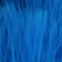 FFGene Wooly Bugger Marabou (Blood Quill) (7-10 cm)