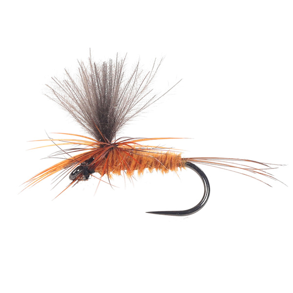 CDC Parachute Rusty Brown