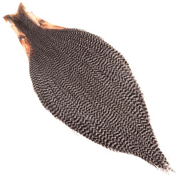 Keough Hackle tuppnacke Tyers