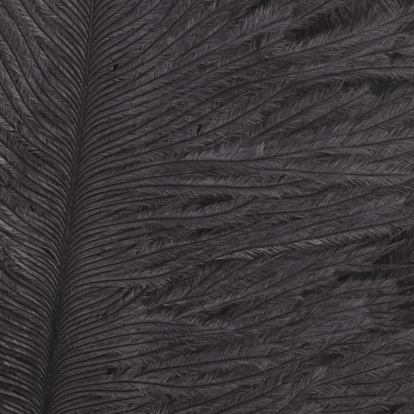 Wapsi Ostrich Marabou