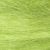 Insect Green