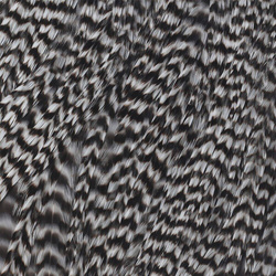 Ewing Grizzly Whole Saddles