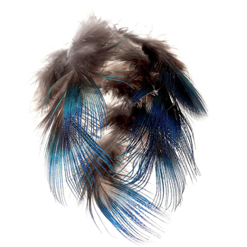 FFGene halsfjädrar från påfågel – Blue