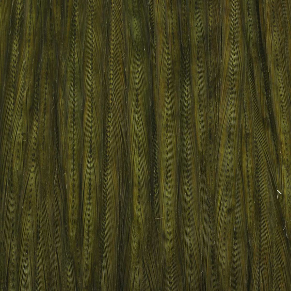 Ewing Sweet Spot Dyed