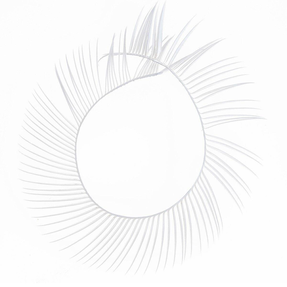 Blached White