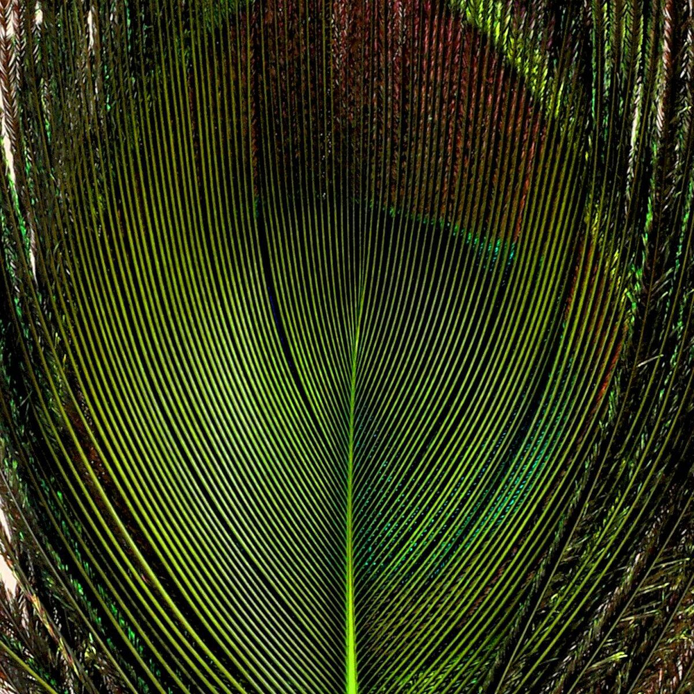 Chartreuse