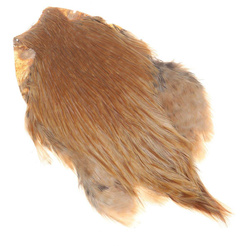 FFGene India Cock Capes class A
