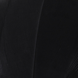 Hareline Select Goose Shoulder