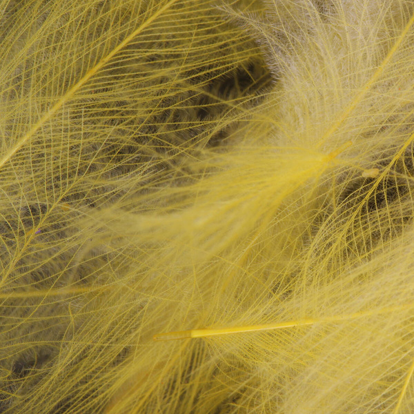 FFGene CDC Color Jambo Pack - 1 gr