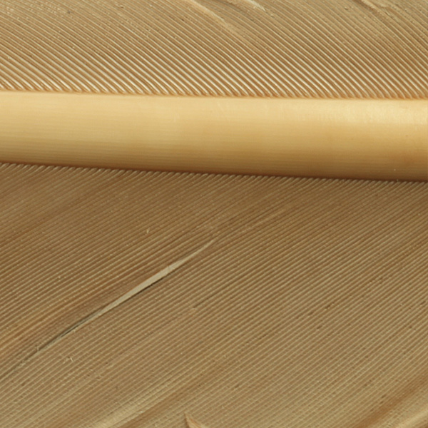 Hareline kalkonbiots