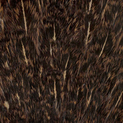 FFGene India Hen Speckled Saddles