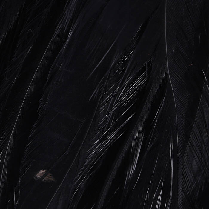 Fiery Black