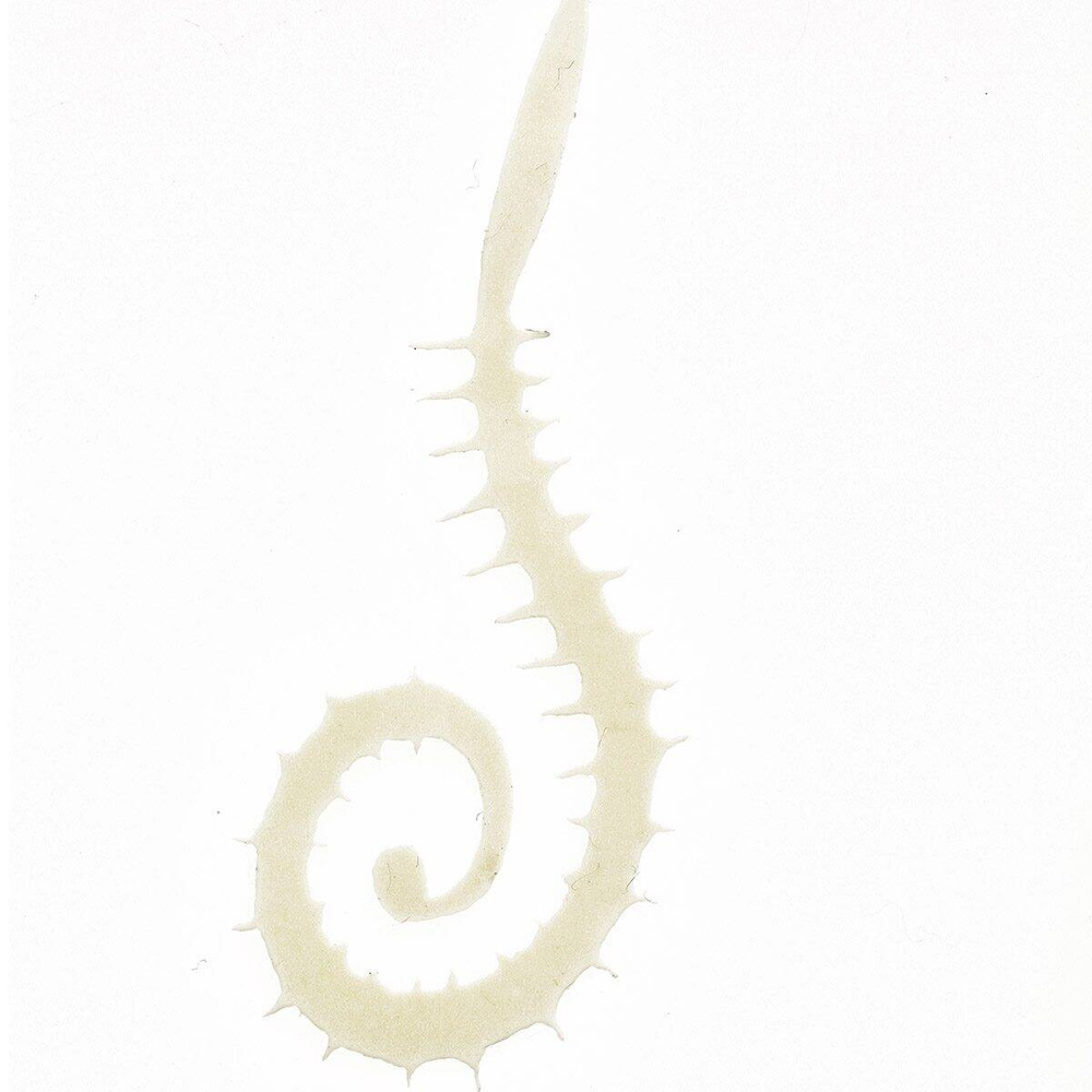 Large 1/0 And Up - White