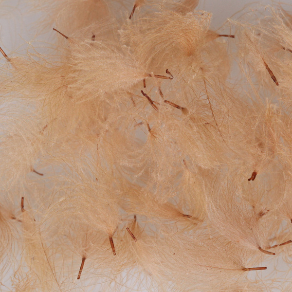 Hareline CDC Oiler Puffs
