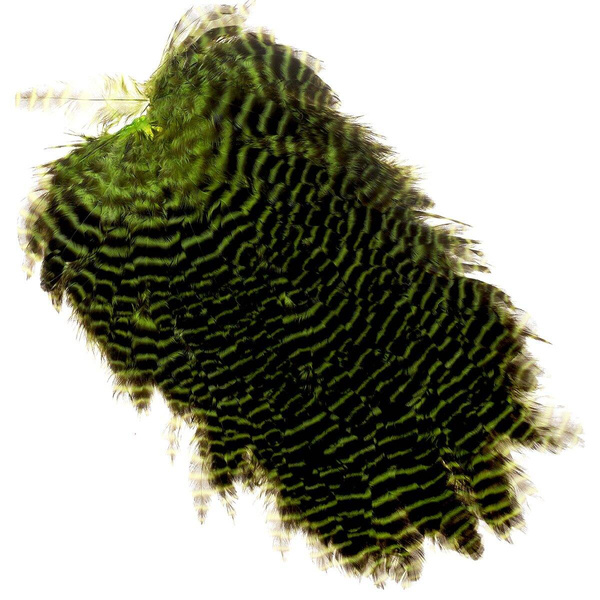 Wapsi Grizzly – hel hönssadel för flugbindning