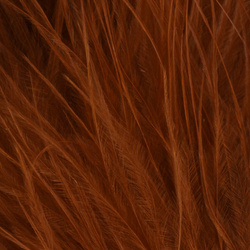 FFGene Wooly Bugger Marabou (Blood Quill) (7-10 cm)